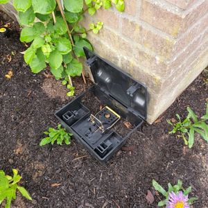 Rattenvoerdoos met rattenklem (Set van 3) - Rattenval - Rattenkist voor binnen en buiten