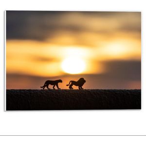 Forex - Silhouet van Miniatuur Beeldjes van Leeuwen met Zonsondergang - 40x30cm Foto op Forex