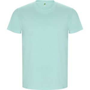 2 Pack Eco organisch katoen T-shirt Golden merk Roly maat M Mintgroen