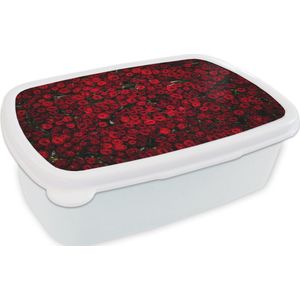 Broodtrommel Wit - Lunchbox - Brooddoos - Bloemen - Rozen - Rood - 18x12x6 cm - Volwassenen