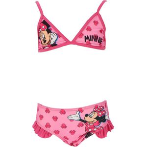 Minnie Mouse Bikini