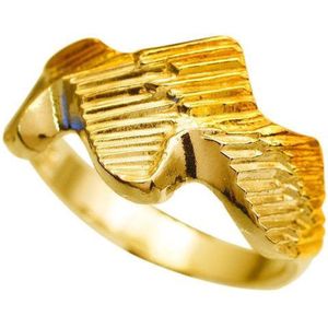 Noorderlicht. Gouden ring 21.5mm