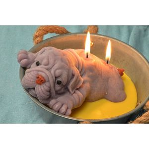 Megagrote ""Hond in de Pot"" kaars, (GRIJS) met de hand gemaakte kaars door Candles by Milanne - BEKIJK VIDEO
