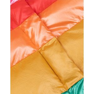 Color bodywarmer 31 Solid multicolor rainbow Pink: 140/10yr
