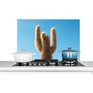 Spatscherm keuken 90x60 cm - Kookplaat achterwand Cactus met blauwe hemel - Muurbeschermer - Spatwand fornuis - Hoogwaardig aluminium