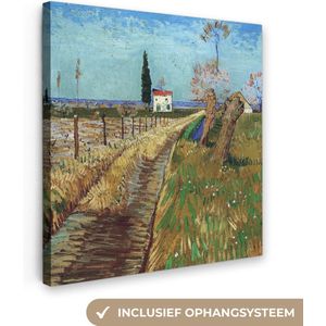 Vincent van Gogh - Pad door een veld met Wilgen - Vincent - Kunst - 90x90 cm - Muurdecoratie