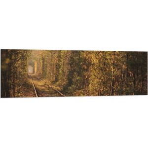 Vlag - Tunnel vna de Liefde in Oekraïne - 150x50 cm Foto op Polyester Vlag