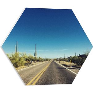 PVC Schuimplaat Hexagon - Asfaltweg tussen de Groene Cactussen - 50x43.5 cm Foto op Hexagon (Met Ophangsysteem)