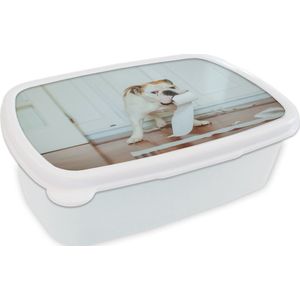 Broodtrommel Wit - Lunchbox - Brooddoos - Hond spelend met wc-papier - 18x12x6 cm - Volwassenen