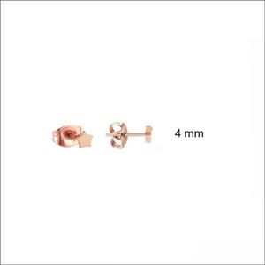 Aramat jewels ® - Zweerknopjes ster rosékleurig chirurgisch staal 4mm