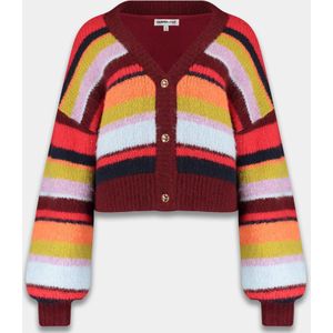 Harper & Yve - Noor - Vest - Multicolor