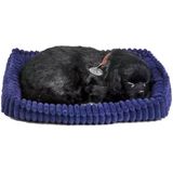 Perfect petzzz Soft labrador zwart