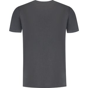 Ballin Amsterdam - Heren Regular fit T-shirts Crewneck SS - Antra - Maat M