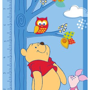 Pooh Speelkleed 95X133 Taller