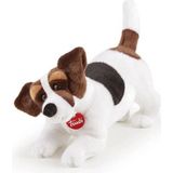 Trudi - Classic Hond Jack Russel Jack (M-22926) - Pluche knuffel - Ca. 23 cm (Maat M) - Geschikt voor jongens en meisjes - Wit/Bruin