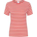Saint Tropez, Dames, Tops, Rood, Maat: M