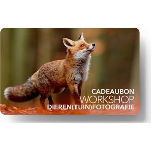 Cadeaukaart - Workshop Dierenfotografie - in Nederlandse dierentuinen