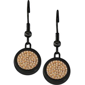 Quiges RVS Schroefsysteem Oorhangers Oorbellen Zwart met Verwisselbare Mini Munten Zirkonia Goudkleurig