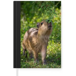 Notitieboek - Schrijfboek - Een baby Capibara eet van de groene bladeren - Notitieboekje klein - A5 formaat - Schrijfblok