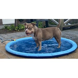 Hondenbadje - Zwembad voor Hond en Kind - Hondenbad met sproeiers - Hondenzwembad 200 cm