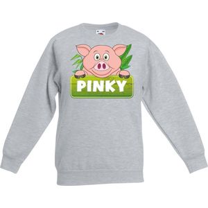Pinky de big sweater grijs voor kinderen - unisex - varkentje trui - kinderkleding / kleding 152/164