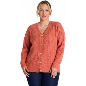 Gebreide Trui - Kort Vest - V-hals - Knoopsluiting - Kabelbreisel