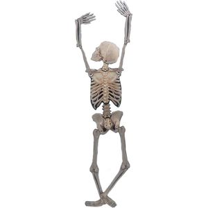 Horror/Halloween skelet - klimmend - 150 cm - kunststof - hangdecoratie