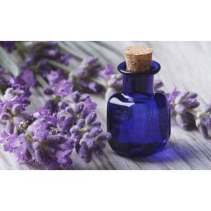 Goloka French Lavender (Franse Lavendel) - Eterische olie - Flesje 10 ml