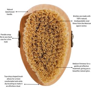 SKINTONE SKIN® - Dry Brushing Huidborstel met Natuurlijke Haren - Huidverbetering - Anti cellulitis brush - Lichaamsborstel - Droogborstel - Borstel - Droog - Cellulite