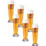 Paulaner Hefe Bierglazen 50cl set van 6 stuks - Bier Glas 0,5 l - 500 ml