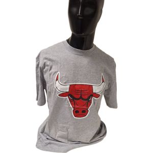 CHICAGO BULLS - T-SHIRT- GREY- L