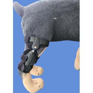 Brace, Brace, hond brace, hond pad protector, hond beugel, hond spalk, hond steun, hond bandage, hond knie brace, hond knie protector, hond knie pad maat S
