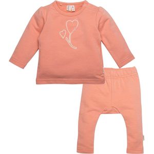 B.E.S.S. kledingset baby meisjes: Shirt en Legging Dusty rose maat 50
