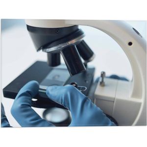 Vlag - Laboratorium - Apparaat - Microscoop - Handschoenen - 40x30 cm Foto op Polyester Vlag