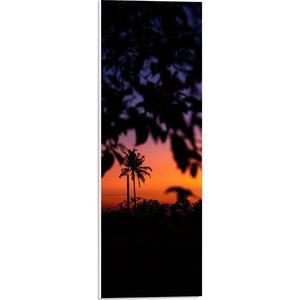 WallClassics - PVC Schuimplaat - Silhouet van Bladeren aan Struiken bij de Avondzon - 20x60 cm Foto op PVC Schuimplaat (Met Ophangsysteem)