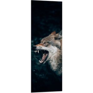 WallClassics - Vlag - Grote Boze Wolf - 40x120 cm Foto op Polyester Vlag