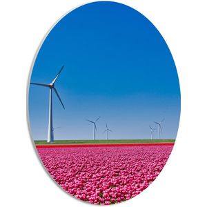 PVC Schuimplaat Ovaal - Bloemen - Bloemenveld - Tulpen - Landschap - Windmolens - Nederland - Kleuren - 30x40 cm Foto op Ovaal (Met Ophangsysteem)