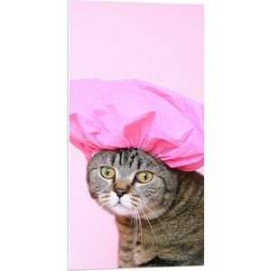 PVC Schuimplaat- Bruine Kat met Roze Badmuts tegen Roze Achtergrond - 50x100 cm Foto op PVC Schuimplaat