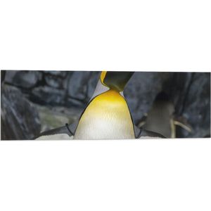 Vlag - Pingïun met Spitse Snavel en Neon Gele Contouren - 90x30 cm Foto op Polyester Vlag