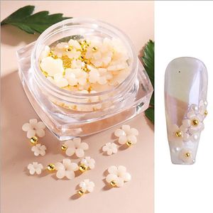 Bloem Nail Art Charms 40 stks Bloemen Sommige Kleine Stalen Ballen Nail Kit Acryl Hars Nail Art Studs Manicures Nail Accessoires voor Vrouwen Meisjes (Geel)