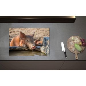 Inductieplaat Beschermer - Roze Biggetje Drinkend uit Waterbak - 70x52 cm - 2 mm Dik - Inductie Beschermer van Vinyl