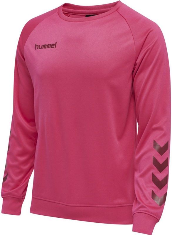 Hummel Sportsweatshirt 'Poly'  antraciet / fuchsia