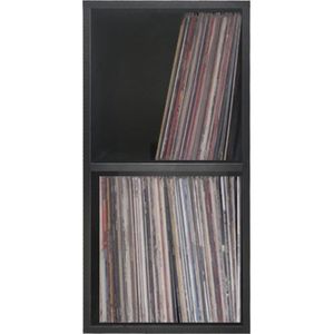 lp platen vinyl opbergkast - opbergen lp vinyl platen - boekenkast - 2 vakken - zwart
