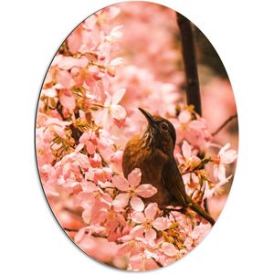 Dibond Ovaal - Bloemen - Dieren - Vogel - Kleuren - 60x80 cm Foto op Ovaal (Met Ophangsysteem)