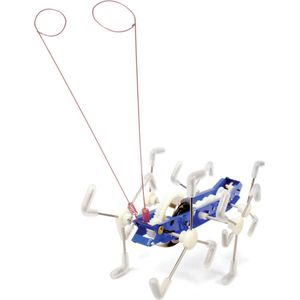 Kikkerand Mxykikker Wind Up - Critter - Speelgoedrobot - Uniek cadeau
