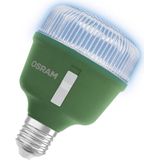 Osram - LED Star Grow Lamp T80 - Plantengroeilamp - E27 - 20 Watt - 25.000 Branduren