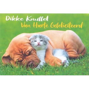 Wenskaart Dikke Knuffel van Harte Gefeliciteerd - Gratis verzonden - D4392/94
