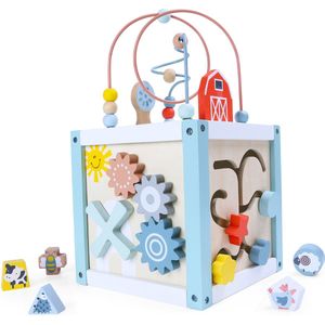 Ecotoys houten activiteiten kubus sorteerder - Educatief speelgoed voor handvaardigheid ontwikkeling - Geschikt vanaf 18 maanden - 22 x 22 x 22 cm - Montessori speelgoed - Hout