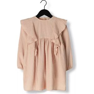 LIL' ATELIER Meisjes Jurken Nmfledolie Ls Loose Dress Roze - Rose Dust - EU 98/UK 2-3Y/US 3T