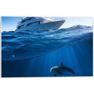 Forex - Dolfijn zwemmend onder Witte Boot - 60x40cm Foto op Forex